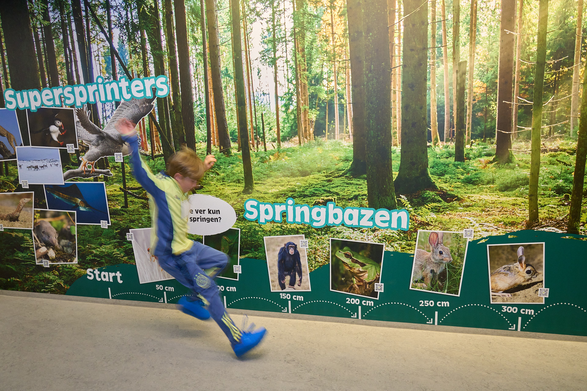 Deze muur van Freek Vonk daagt je uit net zover te springen als een chimpansee of boomkikker